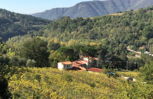 Il Poggiolo ai Casini - Foto 1