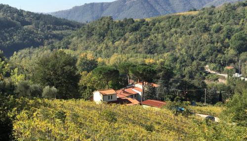 Il Poggiolo ai Casini - Foto 1, Garden view