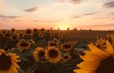 La Cachette - gîte 'cosy' à Magny Cours - Foto 21