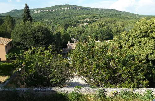 La Boissetane, maison provençale avec piscine et jardin, au pied du Luberon - Foto 43