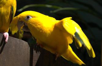 Casa espaçosa famíliar - Foto 18