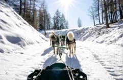 Appartement chalet montagne cosy 8 places - Photo 28