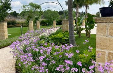 Villa Anna - Suites & Events - Foto 35