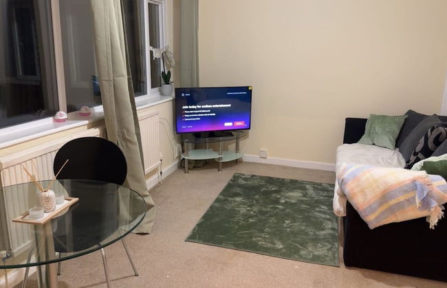 Modern Apt - City Views - Parking - Sleeps 3 - Photo 1