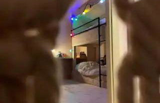 The forest chalet in Parnassus - Foto 8