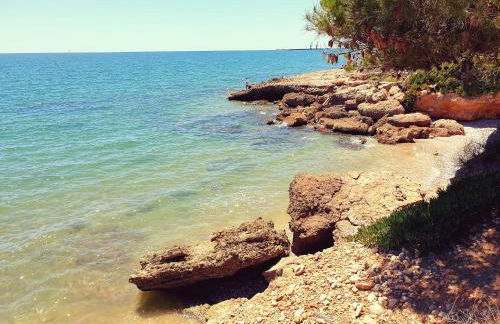 Ca la Mercè - Foto 40