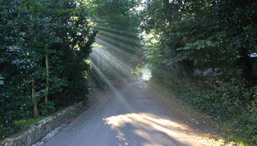 Ferienwohnung Tante Lise - Foto 3