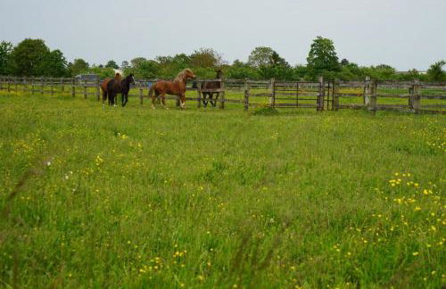 Le chalet dans la prairie - Foto 21
