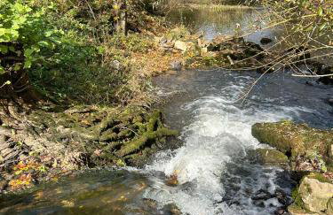 Seosko Imanje Na Obali Rijeke - Foto 7