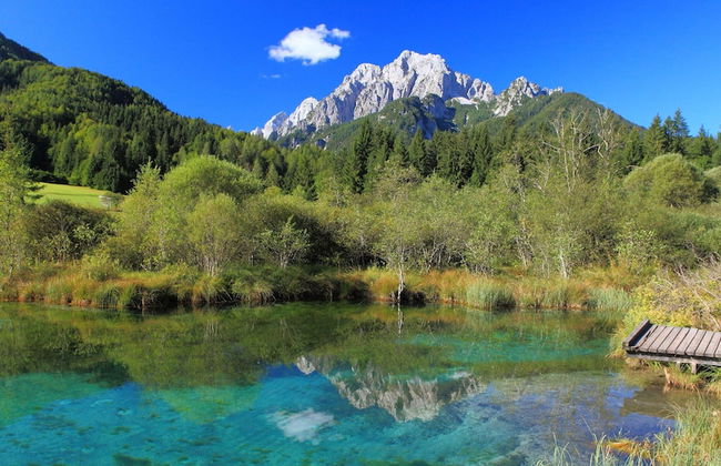 Kronau Chalet Resort - Foto 58