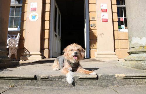 Plas Nanteos Mansion - Foto 72