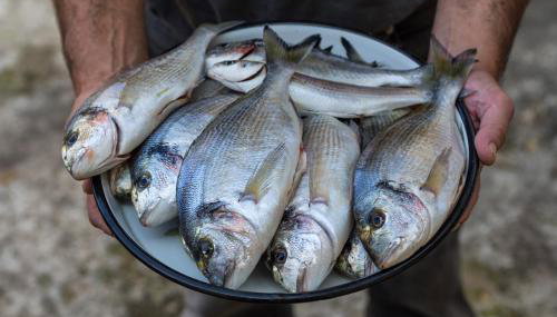 Marin Novigrad - Foto 3