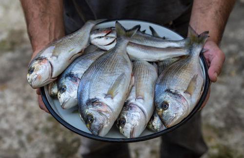 Marin Novigrad - Foto 3