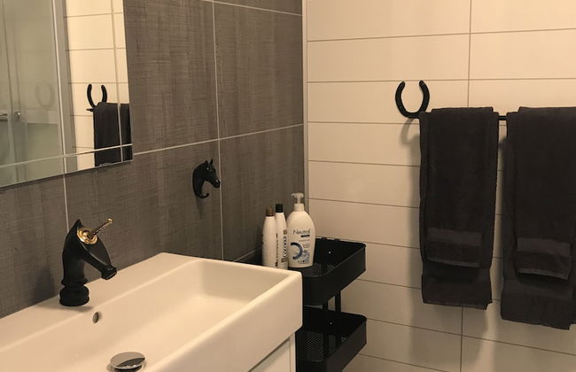 Sólvangur Farm, Icelandic Horse Center - Photo 9