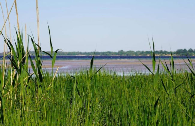 Attractive Apartment in Klütz near Sea - Foto 40