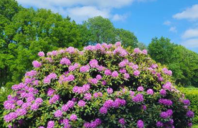 Ferienwohnungen Warnken - Foto 60