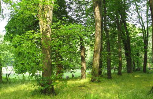 Doonbank Cottage Bothy - Foto 17