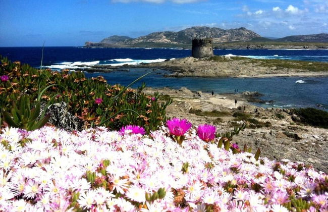 Detached Villa With Garden in Stintino - Foto 43