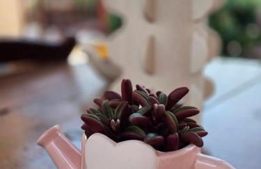 Perivleptos Ι - Foto 52