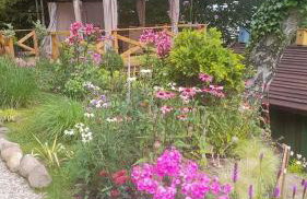 Mała Garda - Foto 25