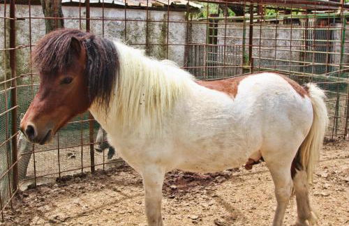 Agriturismo La Chiana - Foto 63