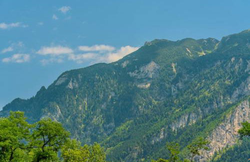 Ferienwohnung Untersbergblick Piding - Foto 25