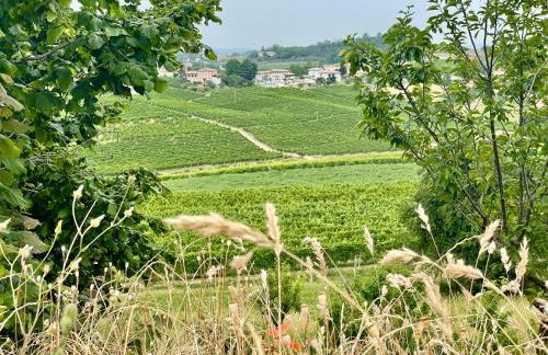 Casa di Mia Zia Bed & Wine - Suite Erbaluce - Foto 58