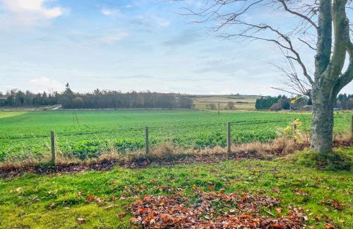 Barn Owl Cabin - Uk45401 - Photo 22