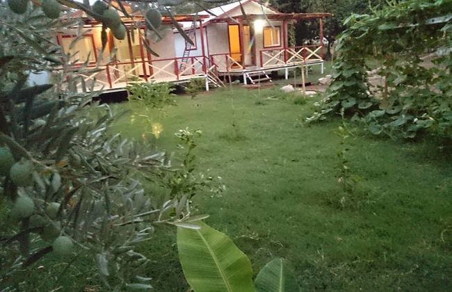 Calba Garden House - Foto 15