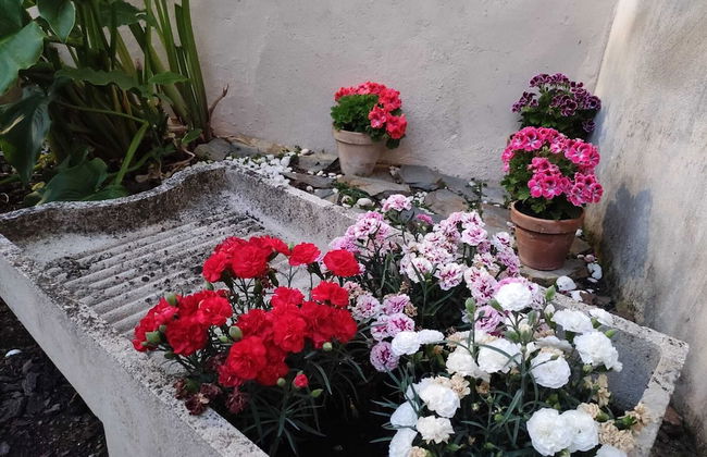 Casa Rural el Rincón de Monfragüe - Foto 61