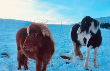 Lettoch Farm Holiday Home - Foto 17