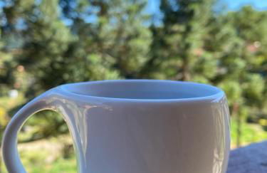 Chalé Sonho Diniz 3 - Foto 15