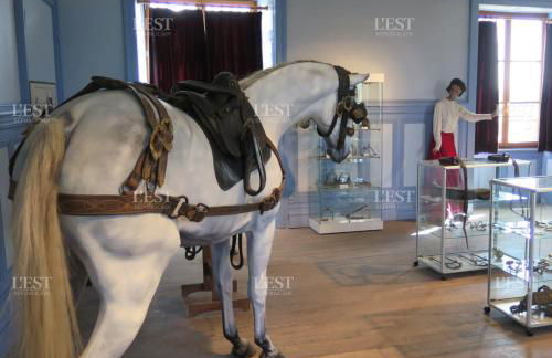 Studio Bleu - Parc Astérix - Mer de Sable - Villepinte - Aéroport CDG - Foto 44