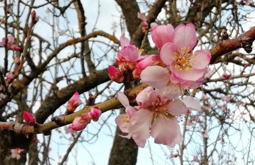 Gîtes Marschall Jean-Pierre - Foto 29