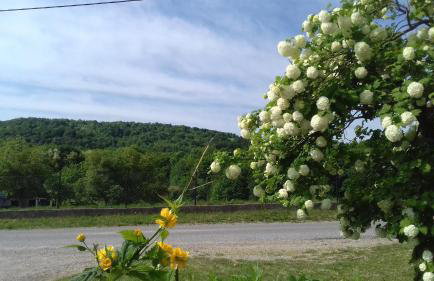 Apartment Dolores - Foto 27