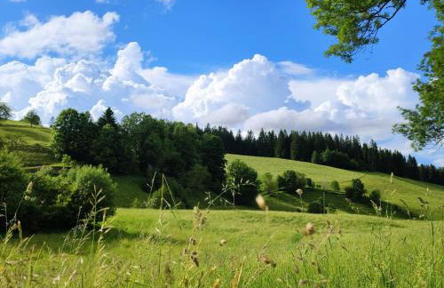 Biobetrieb Lippenhof - Photo 20