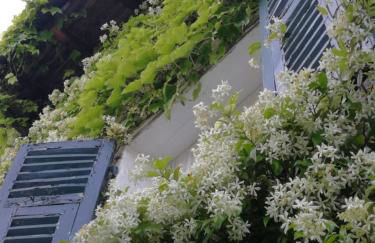 Casale Maria Mafalda - Photo 8