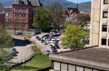 Le Belvédère Alsacien - Foto 18