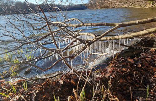 Domek de Janauis - Foto 56