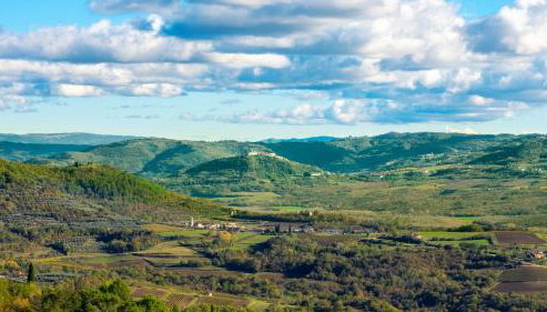 Rustic villa Casa Mazuli with pool in Groznjan - Foto 3, Other