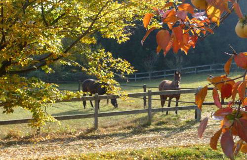 Holiday Home La Bertolina by Interhome - Foto 55