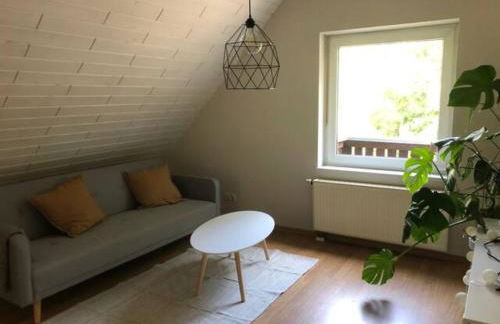 WaldmeisterInn - Foto 11