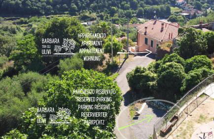 Barbara tra gli Ulivi - Foto 39