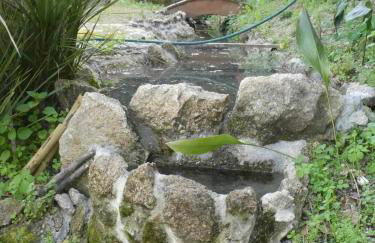 Casa do Ribeirinho - Foto 63