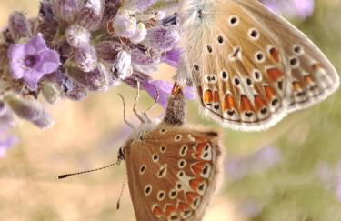 La Casa di Stefania LOFT - Foto 36