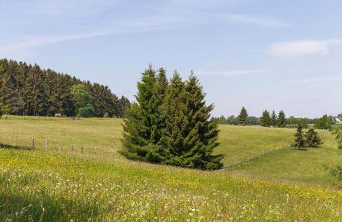 Landhaus Schnorrenberg, Wellness & Nature - Foto 50