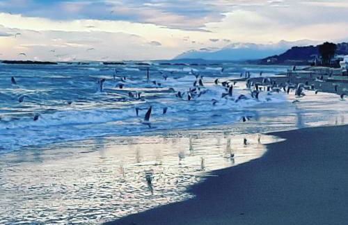 Bio Agriturismo Mare in Campagna - Foto 67