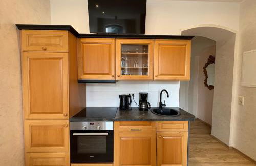 FEWO 1 Landeskrone Dresden - Foto 7