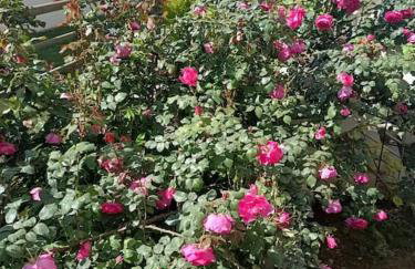 Hilltop Sea View - Foto 44