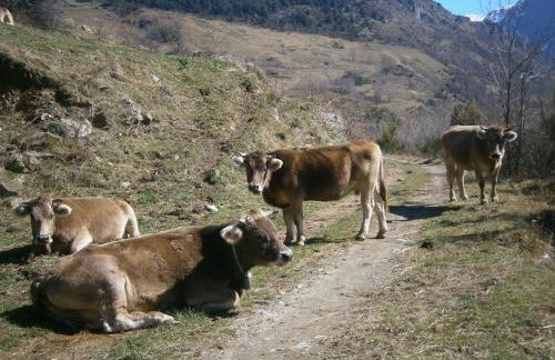 Apartaments Fontalba - Foto 41